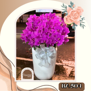 Bunga Anggrek, Bunga Anggrek Jakarta, Orchid Flower, Orchid Flower Jakarta